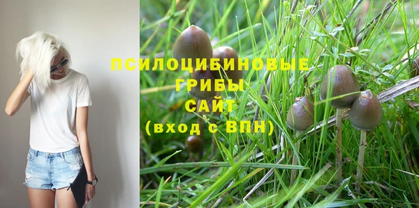прущий лед Волосово