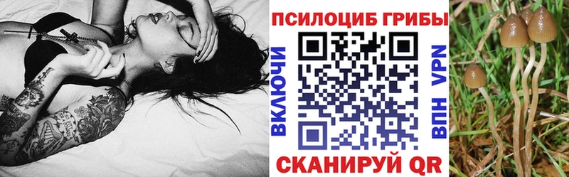 Псилоцибиновые грибы ЛСД  Назарово 