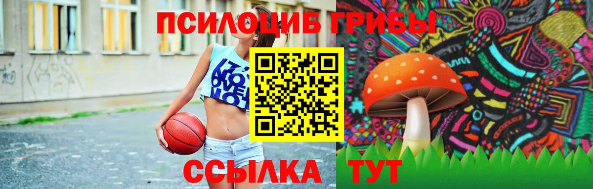 Галлюциногенные грибы прущие грибы  Вход с VPN  Назарово 